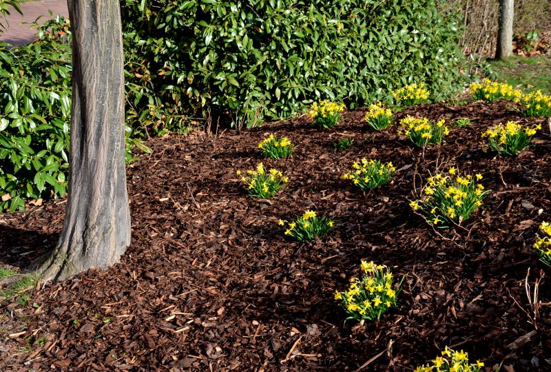 Flower Bed Mulching