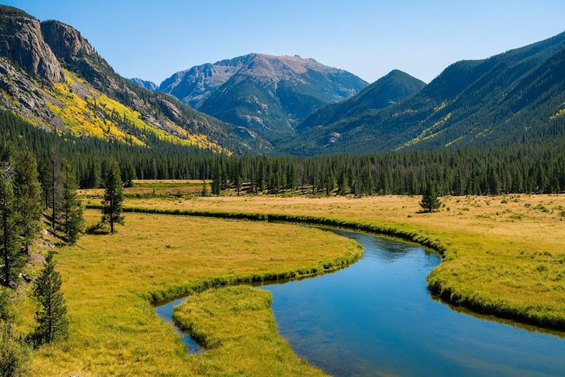 Landscape Construction Service