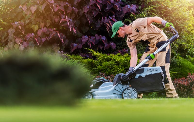 Lawn Maintenance Services