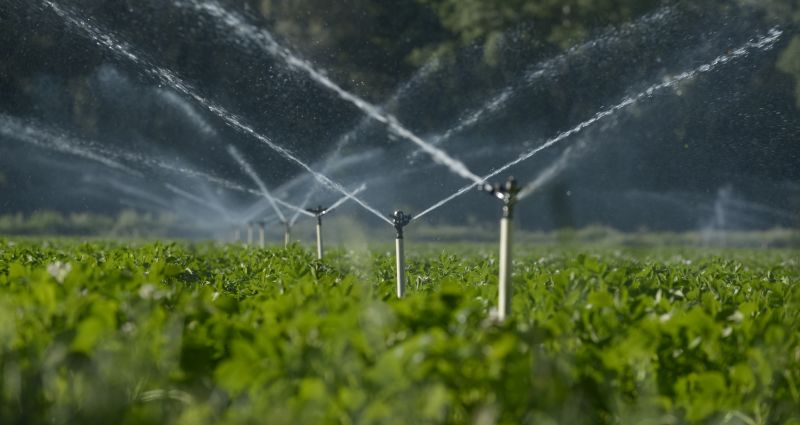Irrigation System Professionals