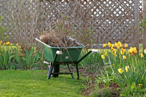 Flower Bed Cleanup Service in Belleville