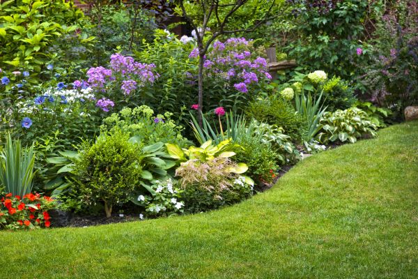 Flower Bed Service in Belleville
