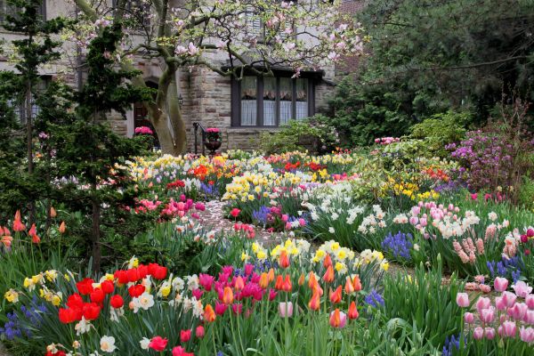 Garden Maintenance Service in Belleville