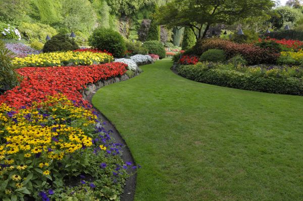 Landscaping Maintenance in Belleville