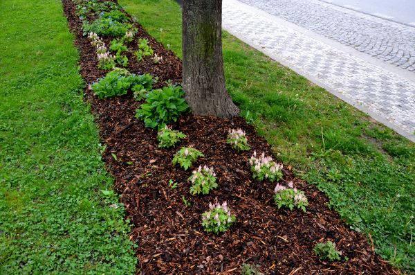 Mulch Replacement Service in Belleville