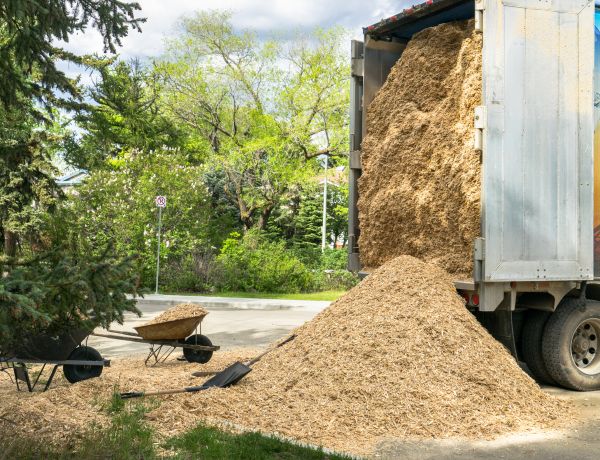 Wood Chips Delivery in Belleville