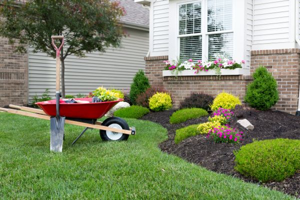 Landscape Maintenance Service in Belleville