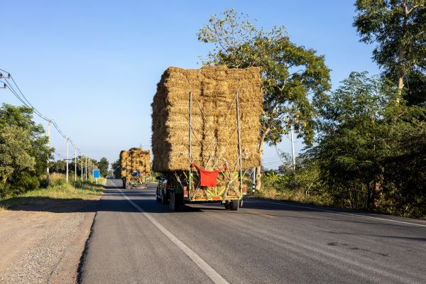 Pine Straw Delivery in Belleville
