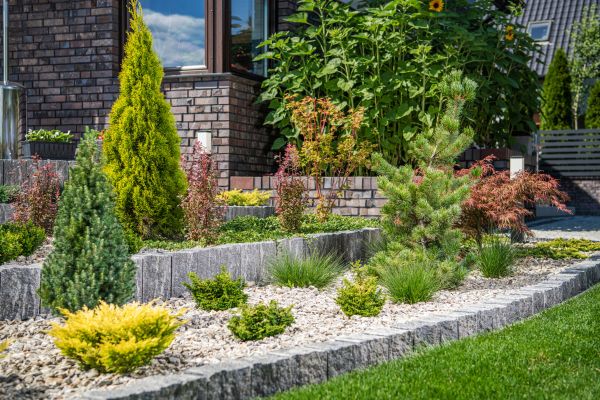 Landscape Construction Service in Belleville