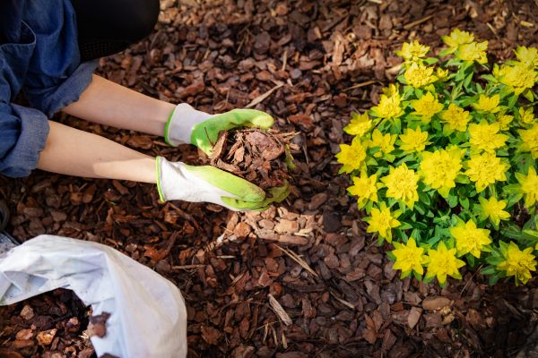 Garden Mulching in Belleville