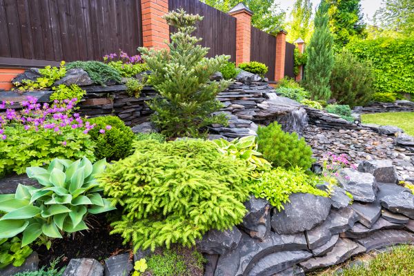 Landscape Remodeling in Belleville