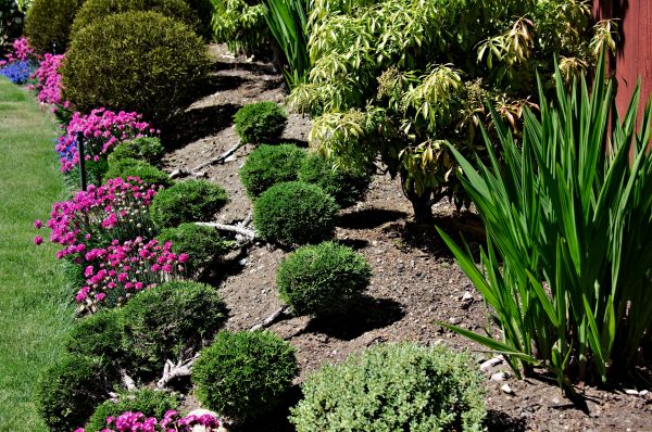 Residential Gardening in Belleville
