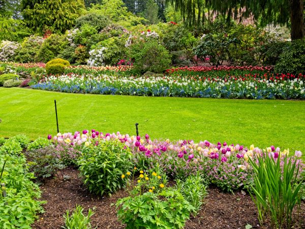 Residential Landscape Design in Belleville