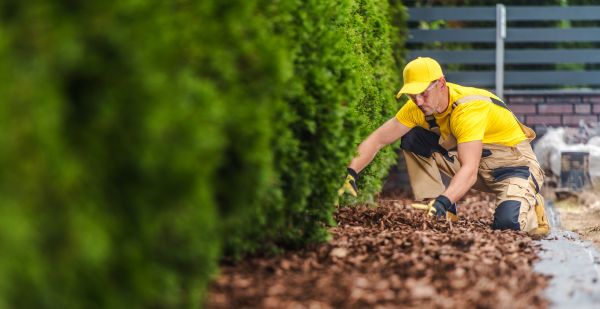 Cypress Mulch Installation in Belleville