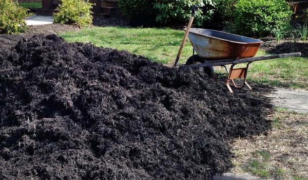 Black Mulch Installation in Belleville