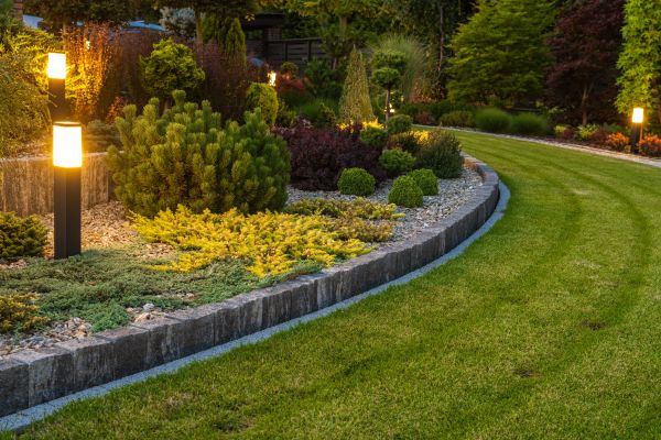 Garden Repair Service in Belleville