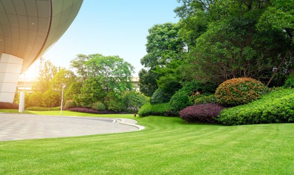 Business Landscape Design in Belleville