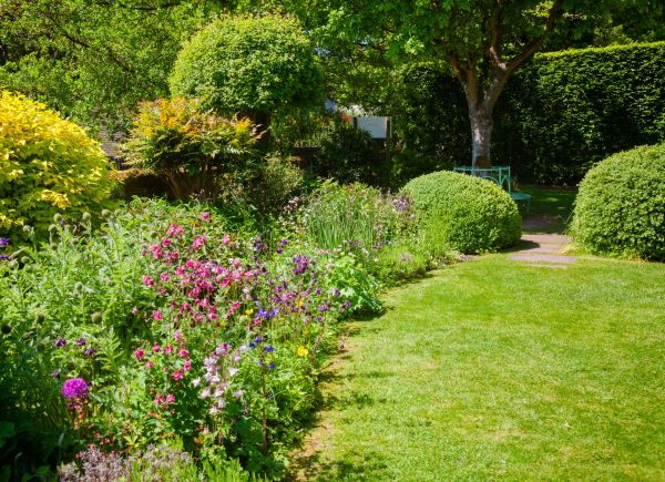 Yard Landscaping Service in Belleville