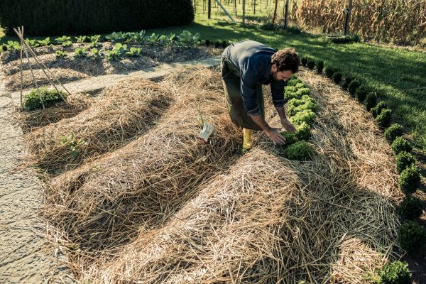 Straw Mulching Service in Belleville