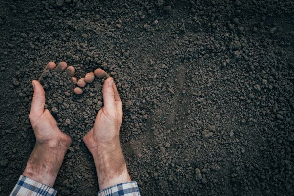 Soil Installation in Belleville