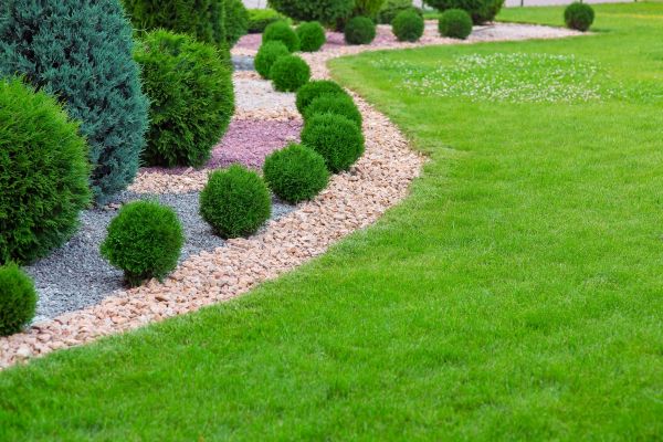 Edging Stones Installation in Belleville