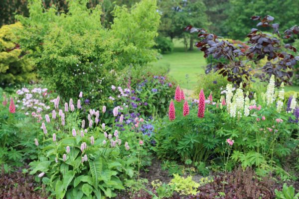 Flower Bed Planting in Belleville