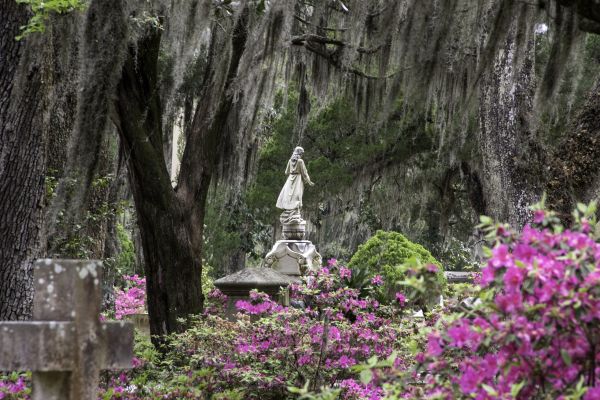 Cemetery Landscaping in Belleville