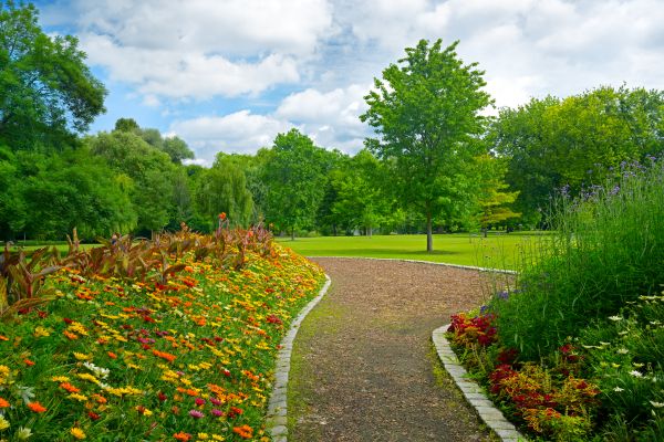 Park Landscaping in Belleville