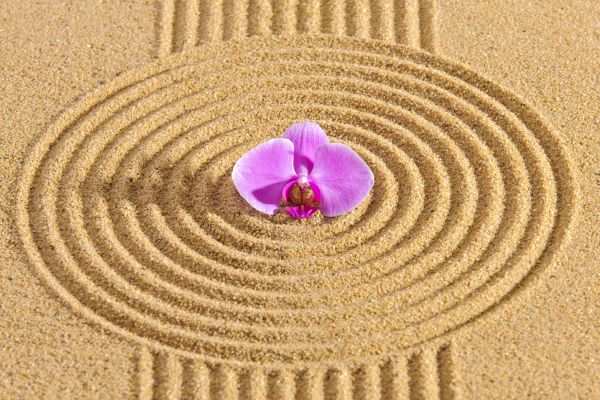 Sand Garden Landscaping in Belleville
