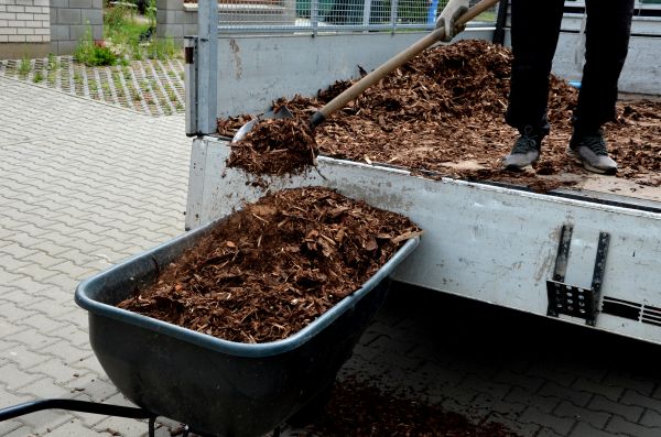 Cypress Mulch Delivery in Belleville