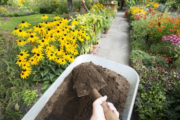 Topsoil Replacement in Belleville