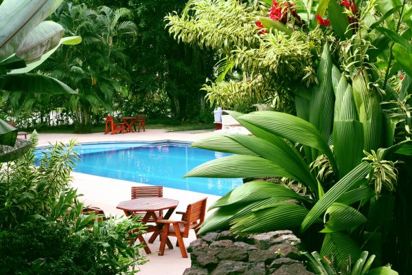 Pool Area Landscaping in Belleville