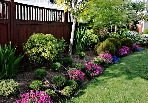 Garden Bed Construction in Belleville
