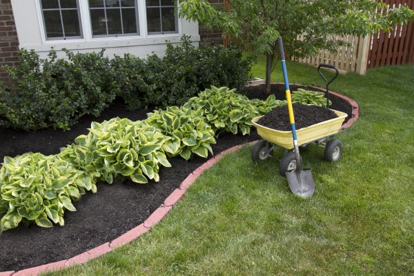 Landscape Mulching in Belleville