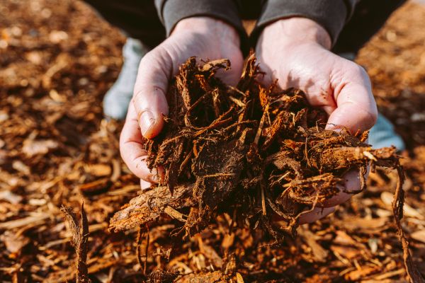 Bark Chips Delivery in Belleville