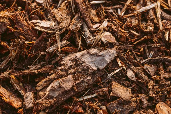 Bark Mulch Delivery in Belleville