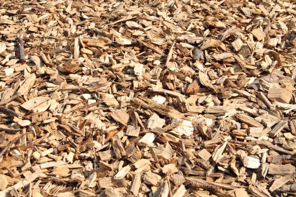 Wood Mulch Delivery in Belleville