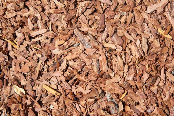 Pine Mulch Spreading in Belleville