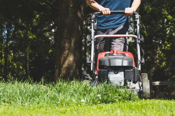 Garden Trimming Service in Belleville
