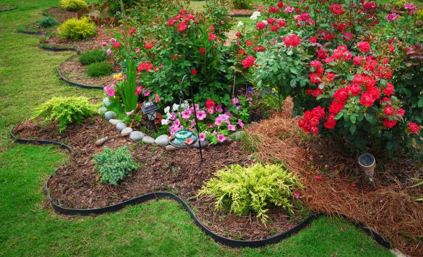Floral Landscaping in Belleville