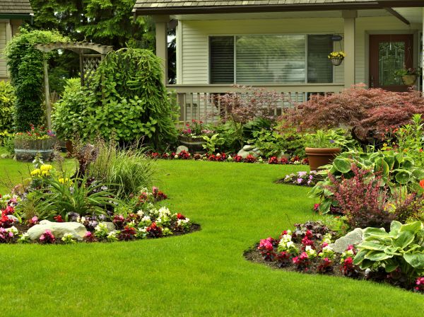 Flower Garden Planting in Belleville