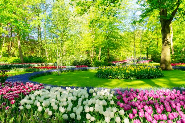 Flower Landscaping in Belleville