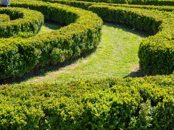 Bush Landscaping in Belleville