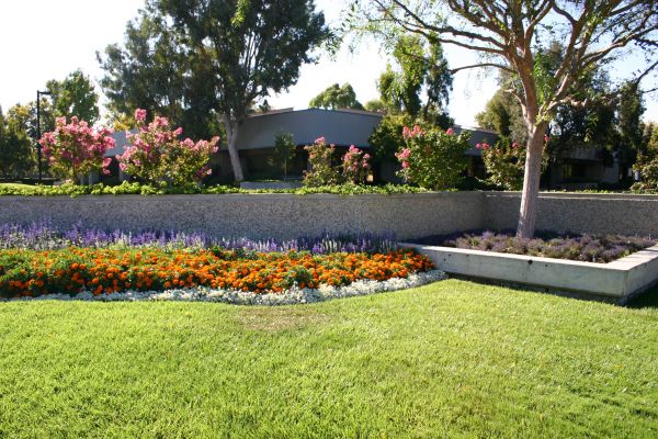 Commercial Landscape Service in Belleville