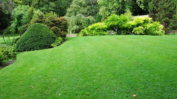 Commercial Landscape Design in Belleville