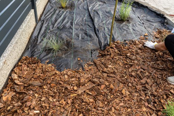 Pine Bark Spreading in Belleville