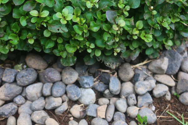 River Stone Installation in Belleville