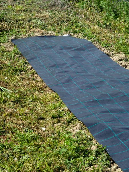 Weed Suppressant Installation in Belleville