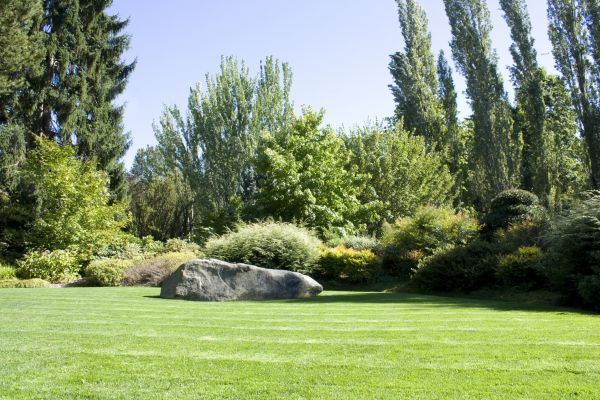 Yard Enlargement in Belleville