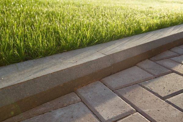 Lawn Edging Replacement in Belleville